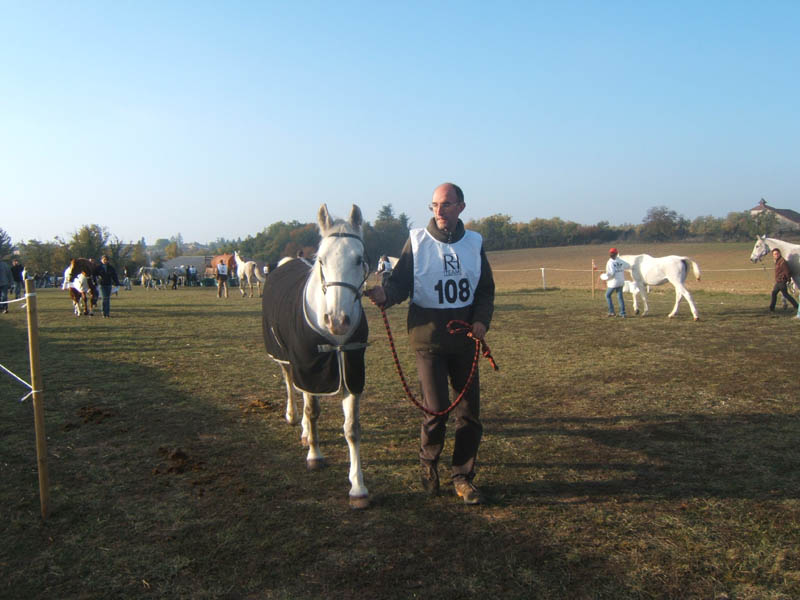 20071103_concoursLalbenque0011