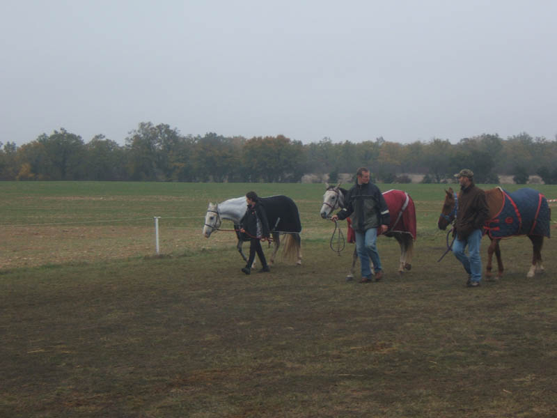 20071103_concoursLalbenque0016