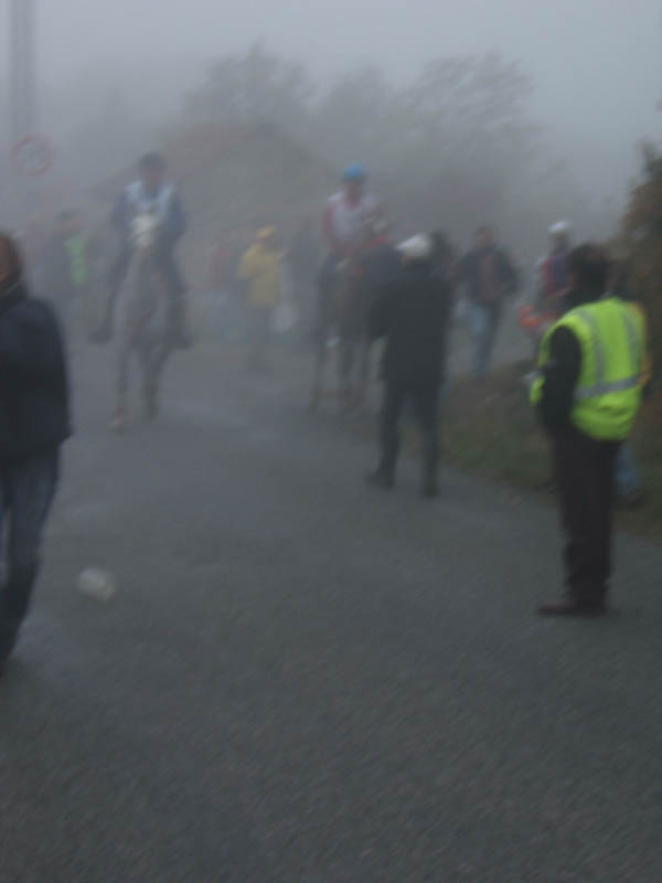 20071103_concoursLalbenque0044