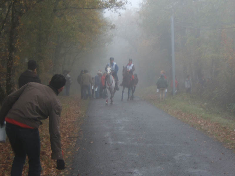 20071103_concoursLalbenque0046
