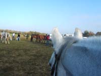 20071103_concoursLalbenque0000