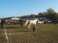 20071103_concoursLalbenque0006