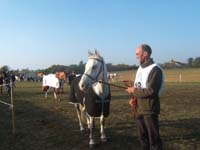 20071103_concoursLalbenque0012