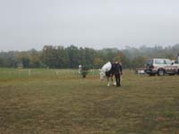20071103_concoursLalbenque0013