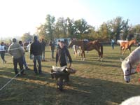 20071103_concoursLalbenque0017