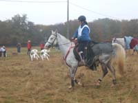 20071103_concoursLalbenque0028