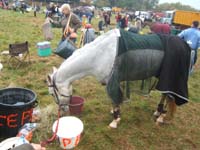 20071103_concoursLalbenque0039