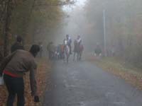 20071103_concoursLalbenque0046