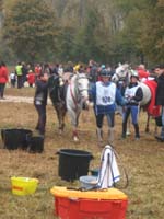 20071103_concoursLalbenque0048