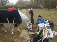 20071103_concoursLalbenque0069