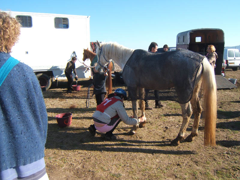 20080210_alles_sur dordogne047