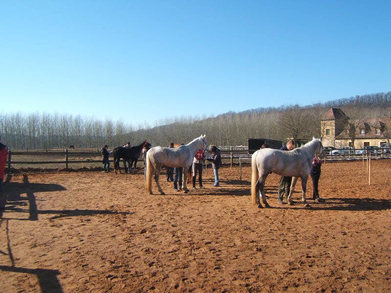20080210_alles_sur dordogne059