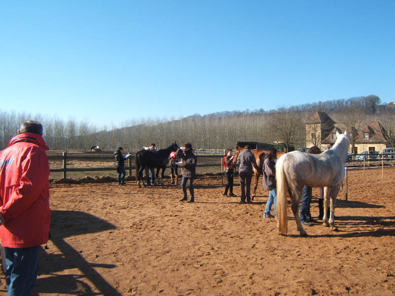 20080210_alles_sur dordogne060
