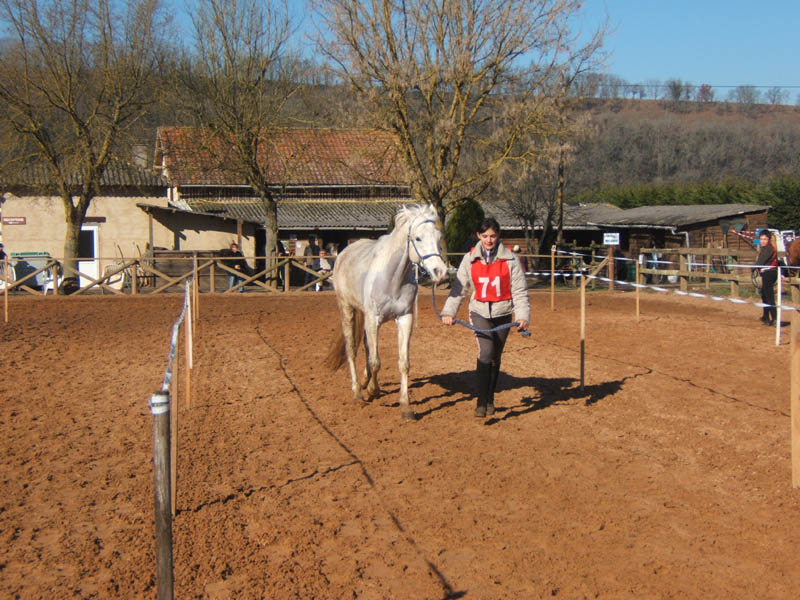 20080210_alles_sur dordogne063