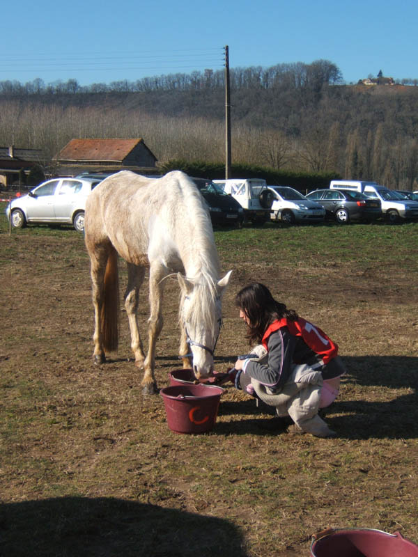 20080210_alles_sur dordogne066