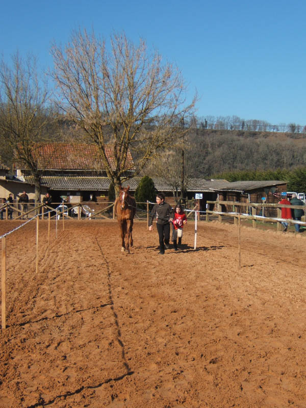 20080210_alles_sur dordogne073