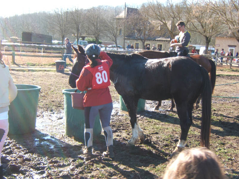 20080210_alles_sur dordogne112