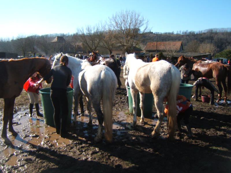 20080210_alles_sur dordogne117