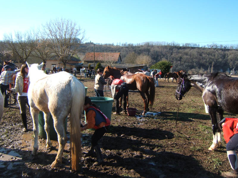 20080210_alles_sur dordogne118