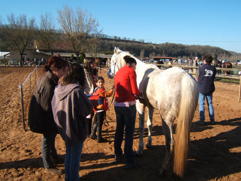 20080210_alles_sur dordogne140