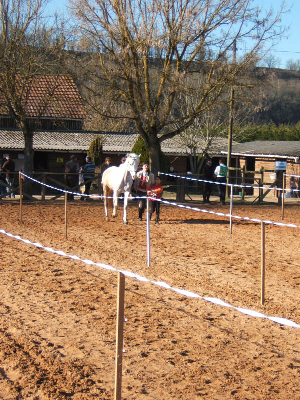20080210_alles_sur dordogne150