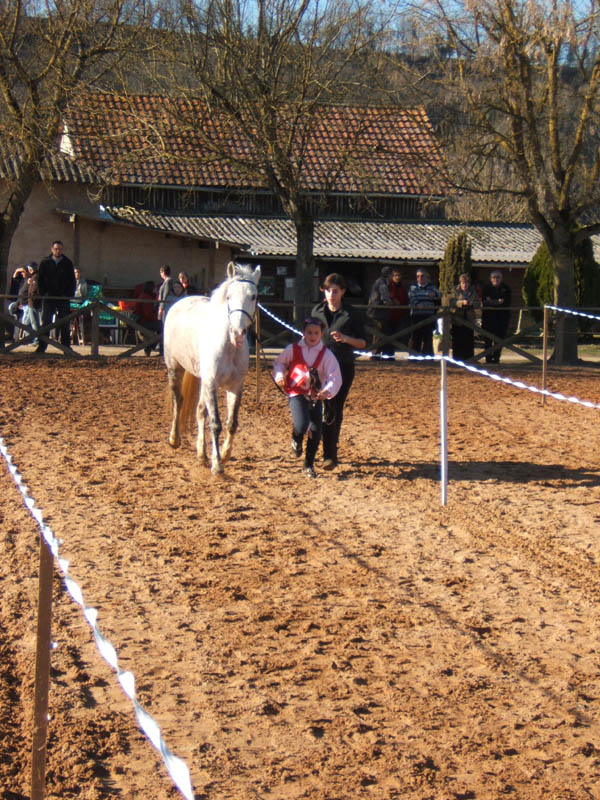 20080210_alles_sur dordogne153