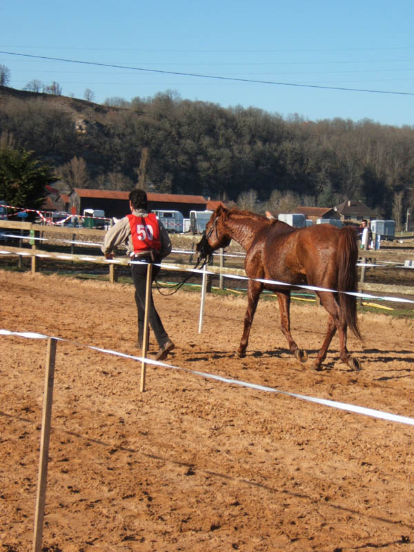 20080210_alles_sur dordogne154