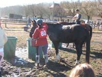 20080210_alles_sur dordogne112