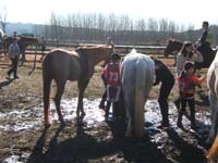 20080210_alles_sur dordogne114