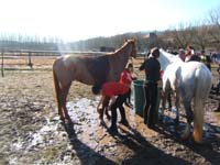 20080210_alles_sur dordogne116