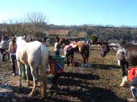 20080210_alles_sur dordogne118