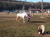 20080210_alles_sur dordogne119