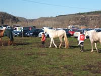 20080210_alles_sur dordogne122