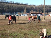 20080210_alles_sur dordogne123