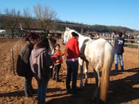 20080210_alles_sur dordogne140