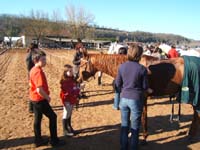 20080210_alles_sur dordogne143
