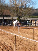 20080210_alles_sur dordogne150