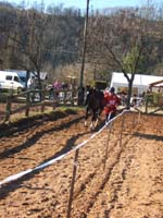 20080210_alles_sur dordogne151