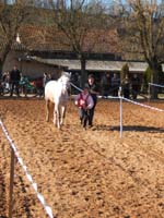 20080210_alles_sur dordogne153