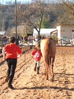 20080210_alles_sur dordogne156