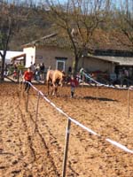 20080210_alles_sur dordogne157