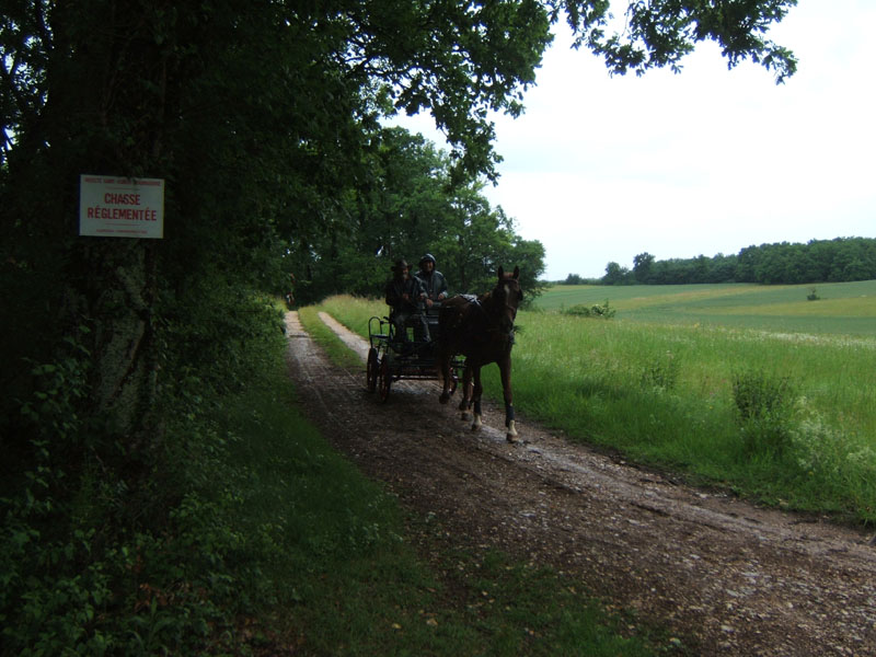 20080525_thezac_trec_attelage0080