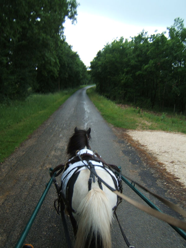 20080525_thezac_trec_attelage0092