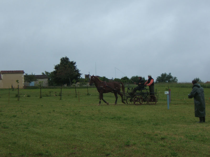 20080525_thezac_trec_attelage0156