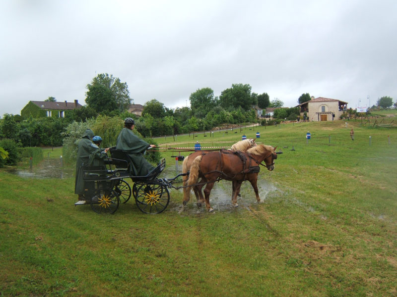20080525_thezac_trec_attelage0168