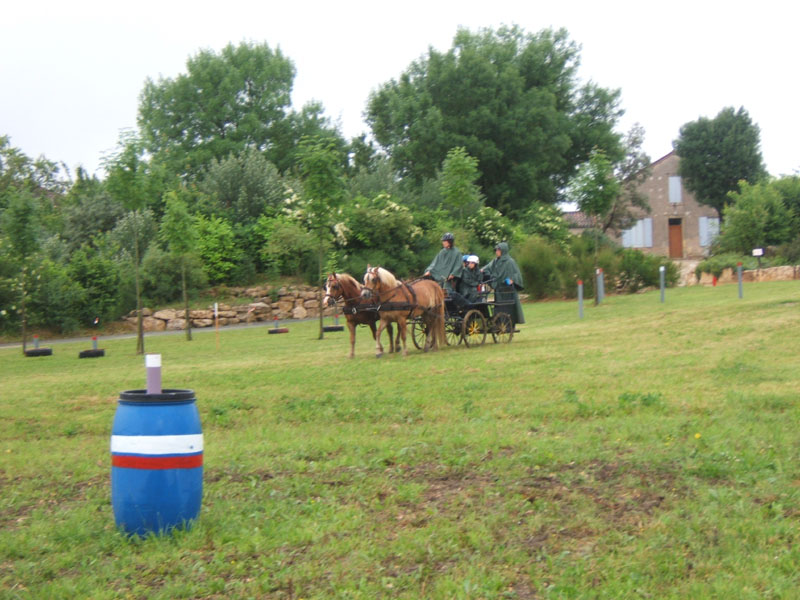20080525_thezac_trec_attelage0196
