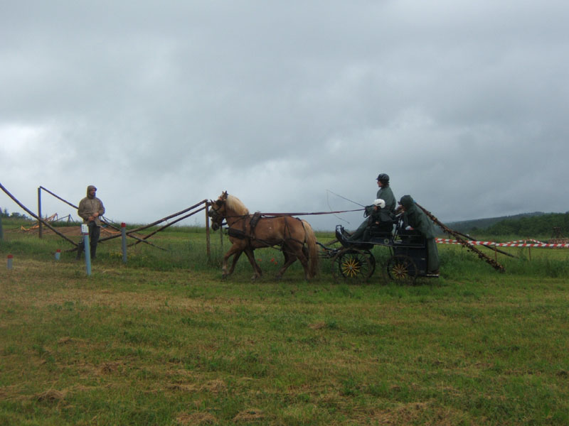 20080525_thezac_trec_attelage0204