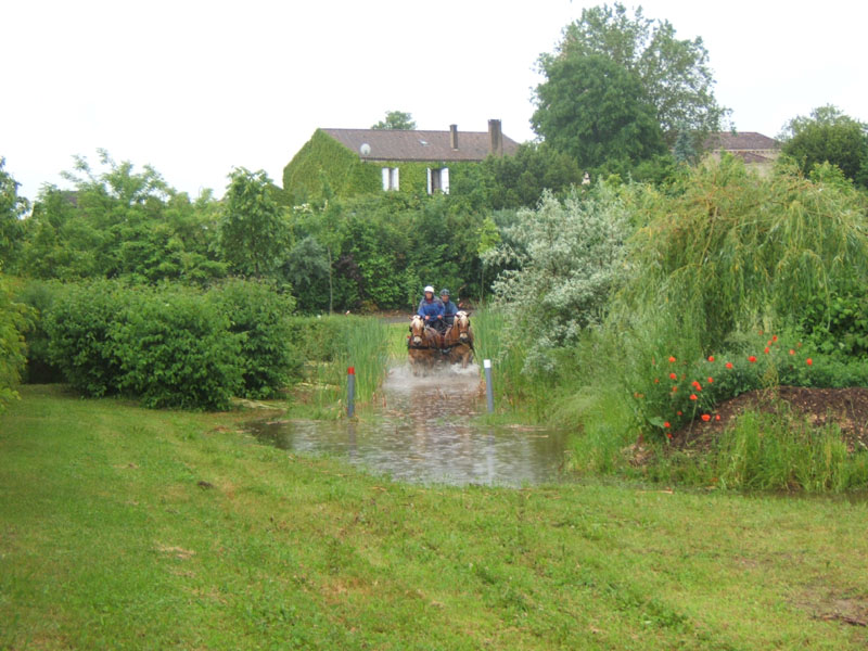 20080525_thezac_trec_attelage0244