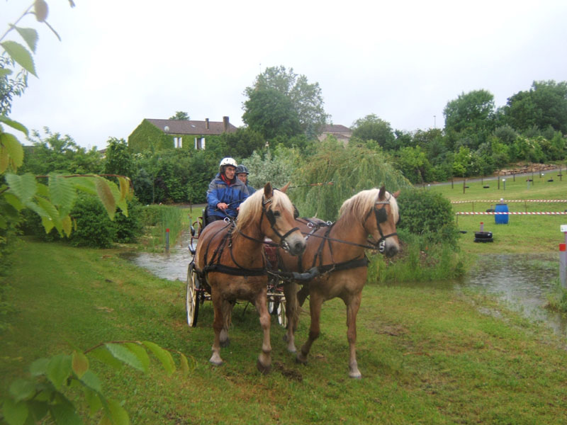 20080525_thezac_trec_attelage0248