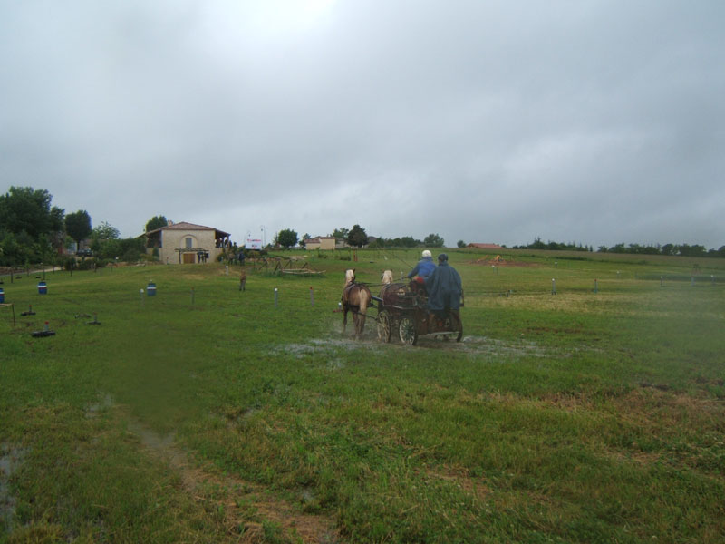 20080525_thezac_trec_attelage0260